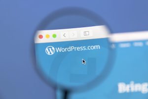 Wordpress is the clear winner in the fight for web design platforms